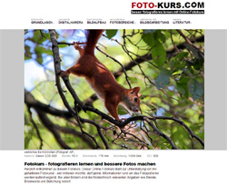 Foto-Kurs - besser fotografieren lernen mit Online-Fotokurs